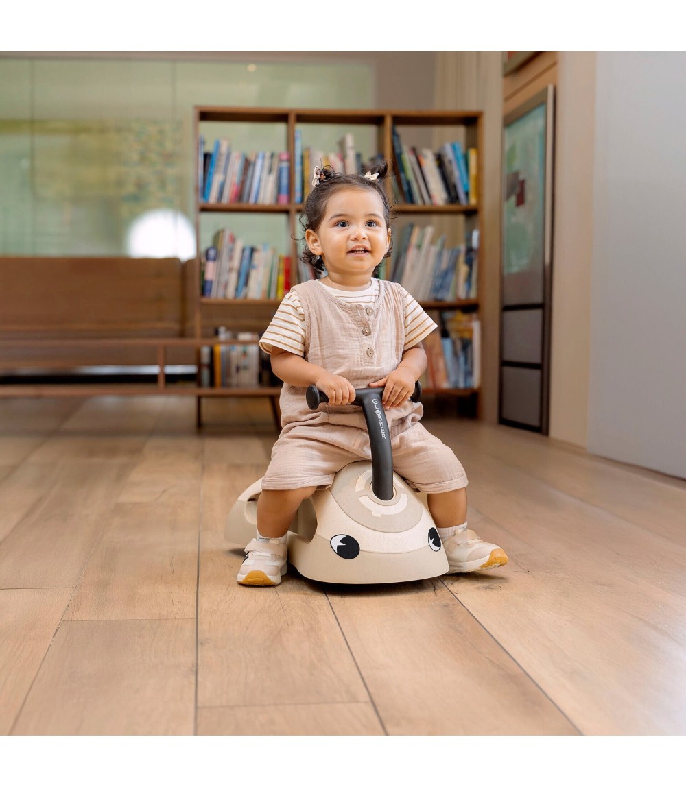 Rutscher Walk n' roll 2in1 ECO