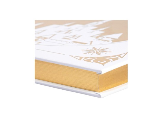 Disney - Das große goldene Buch der Eiskönigin-Geschichten