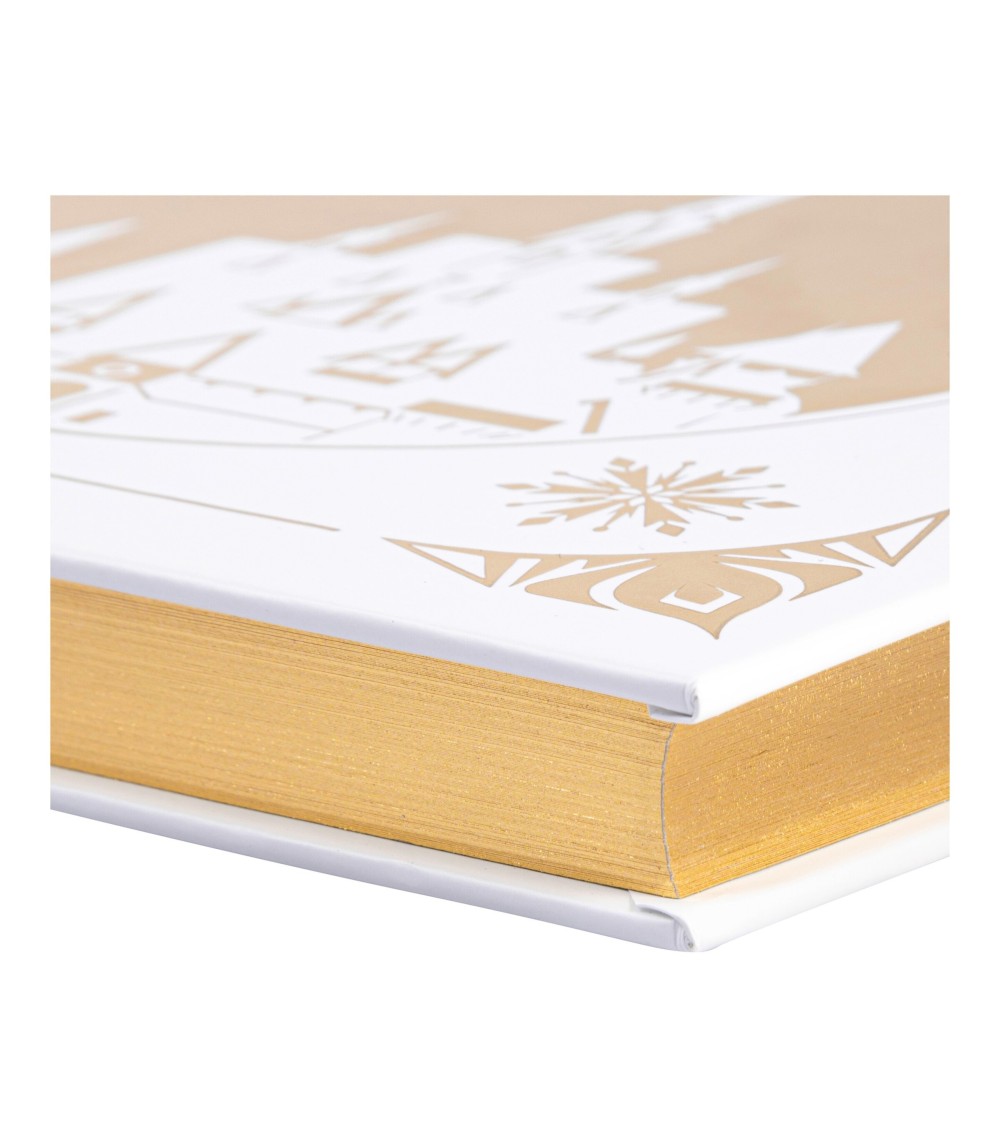 Disney - Das große goldene Buch der Eiskönigin-Geschichten