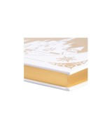 Disney - Das große goldene Buch der Eiskönigin-Geschichten