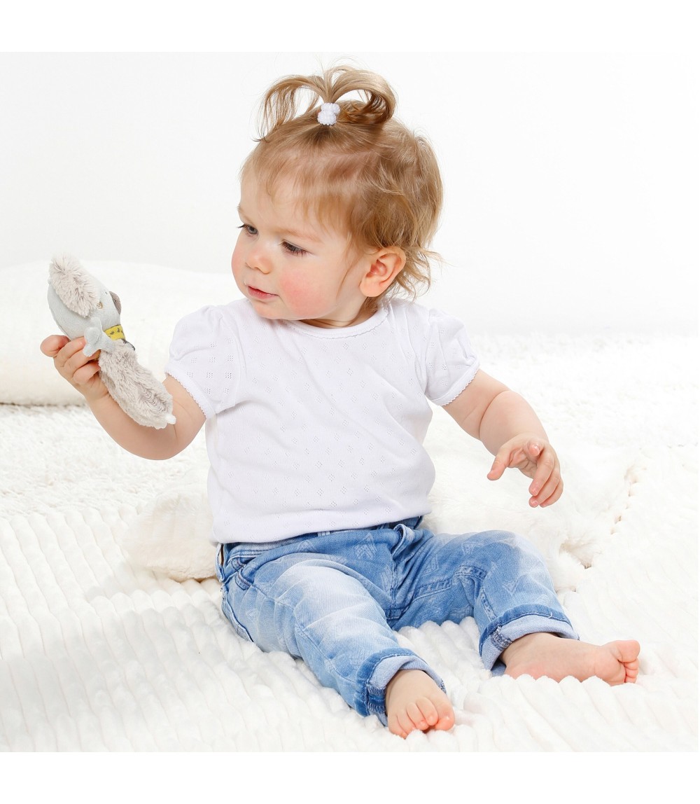 Ring-Greifling Koala Australia