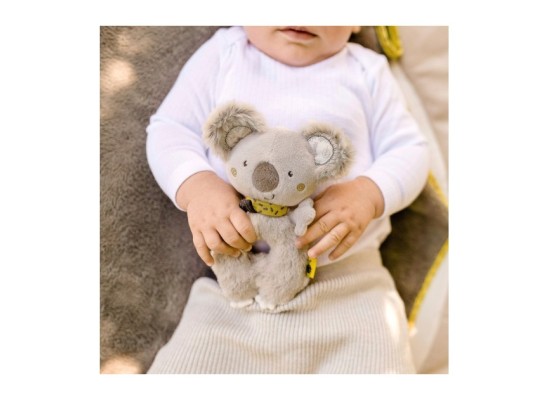 Ring-Greifling Koala Australia