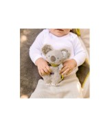 Ring-Greifling Koala Australia