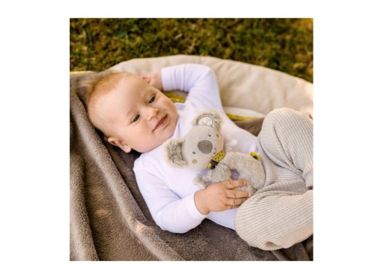 Ring-Greifling Koala Australia