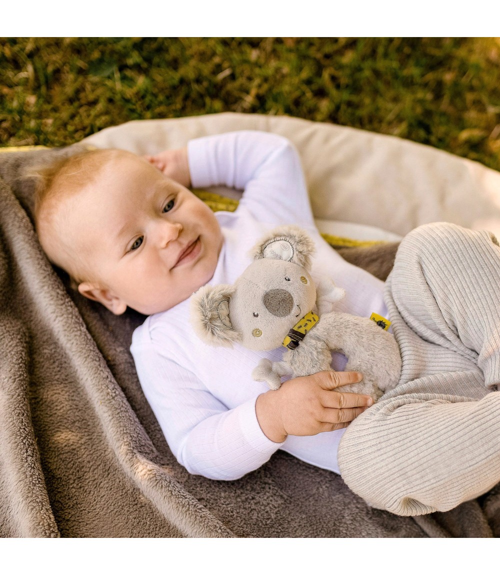 Ring-Greifling Koala Australia