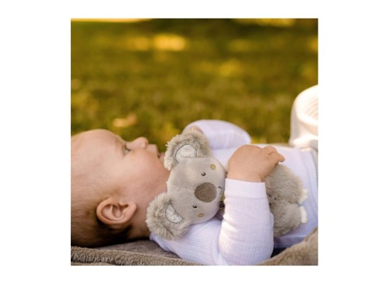 Ring-Greifling Koala Australia