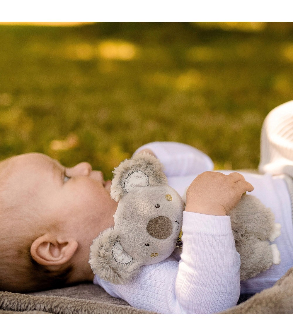 Ring-Greifling Koala Australia