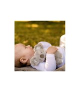 Ring-Greifling Koala Australia