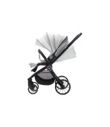 Kombikinderwagen Cougar