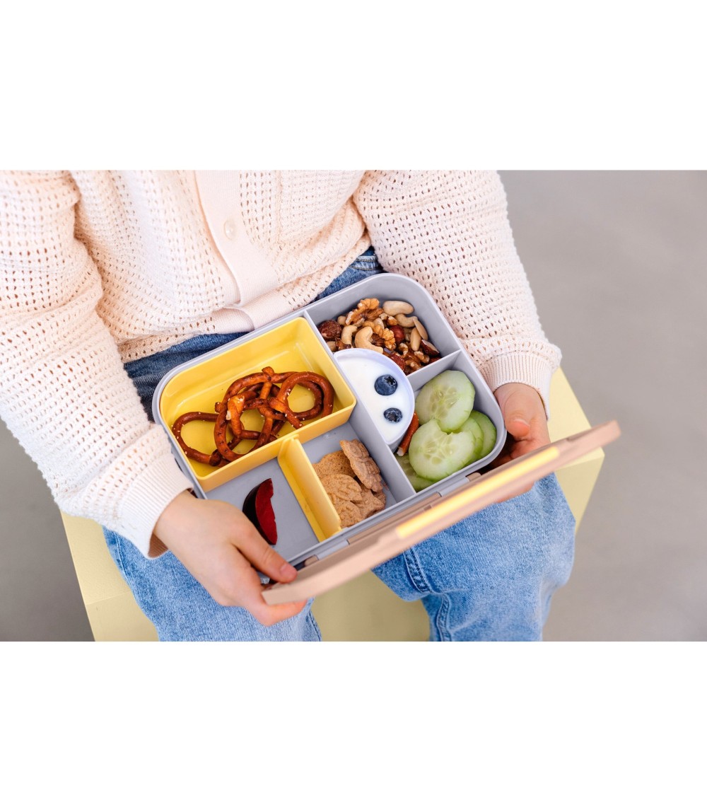 Bento-Brotdose Pattern Party