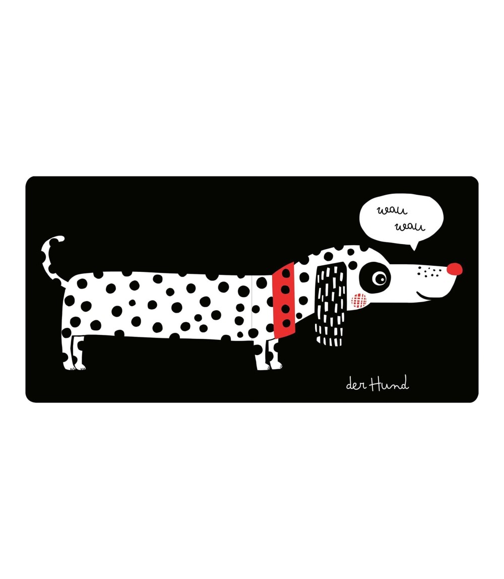 Pappbilderbuch Meine kleine Babywelt: Kontrastbuch Zuhause