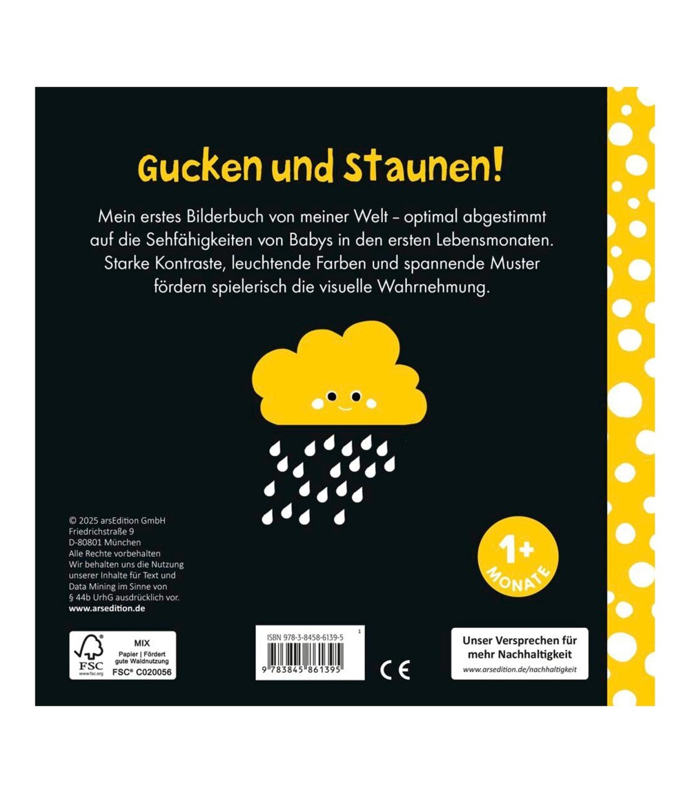 Pappbilderbuch Meine kleine Babywelt: Kontrastbuch Zuhause