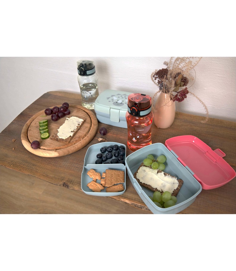 Brotdose & Trinkflasche Set About Friends