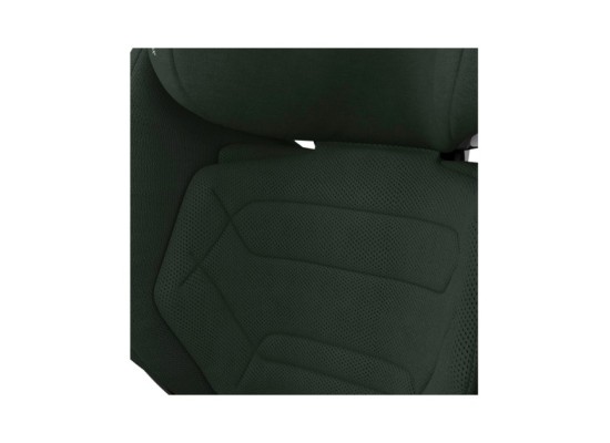 Kindersitz Rodifix Pro 2