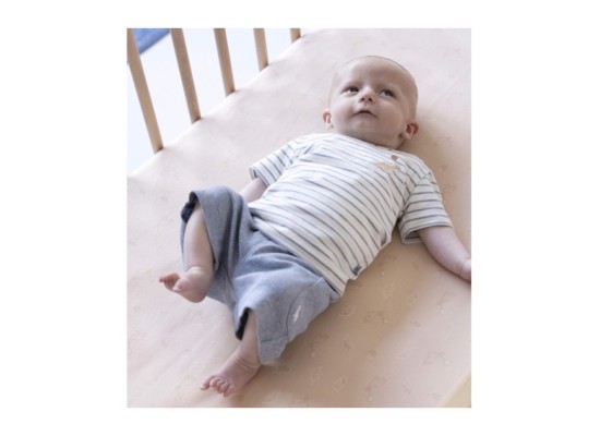 Short Dino Rippqualität