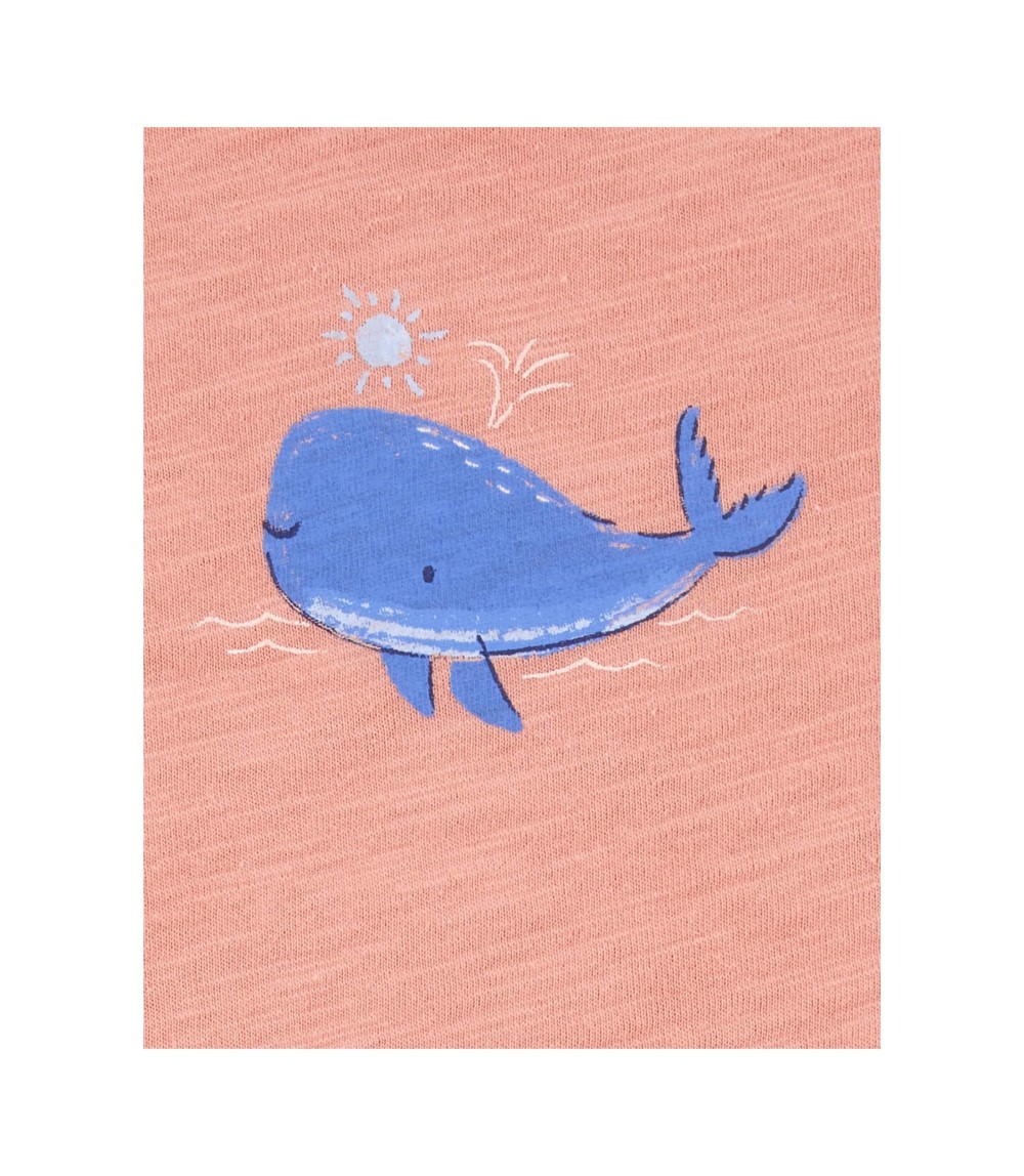 5er-Pack Bodys kurzarm Boote Wale