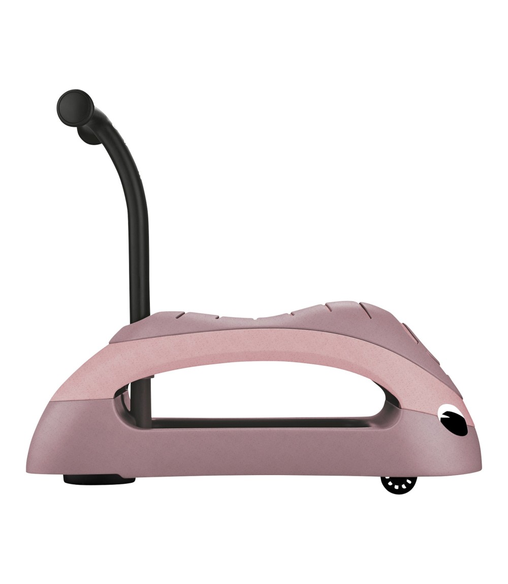 Rutscher Walk n' roll 2in1 ECO