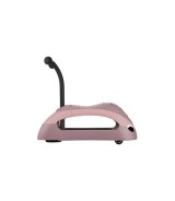 Rutscher Walk n' roll 2in1 ECO