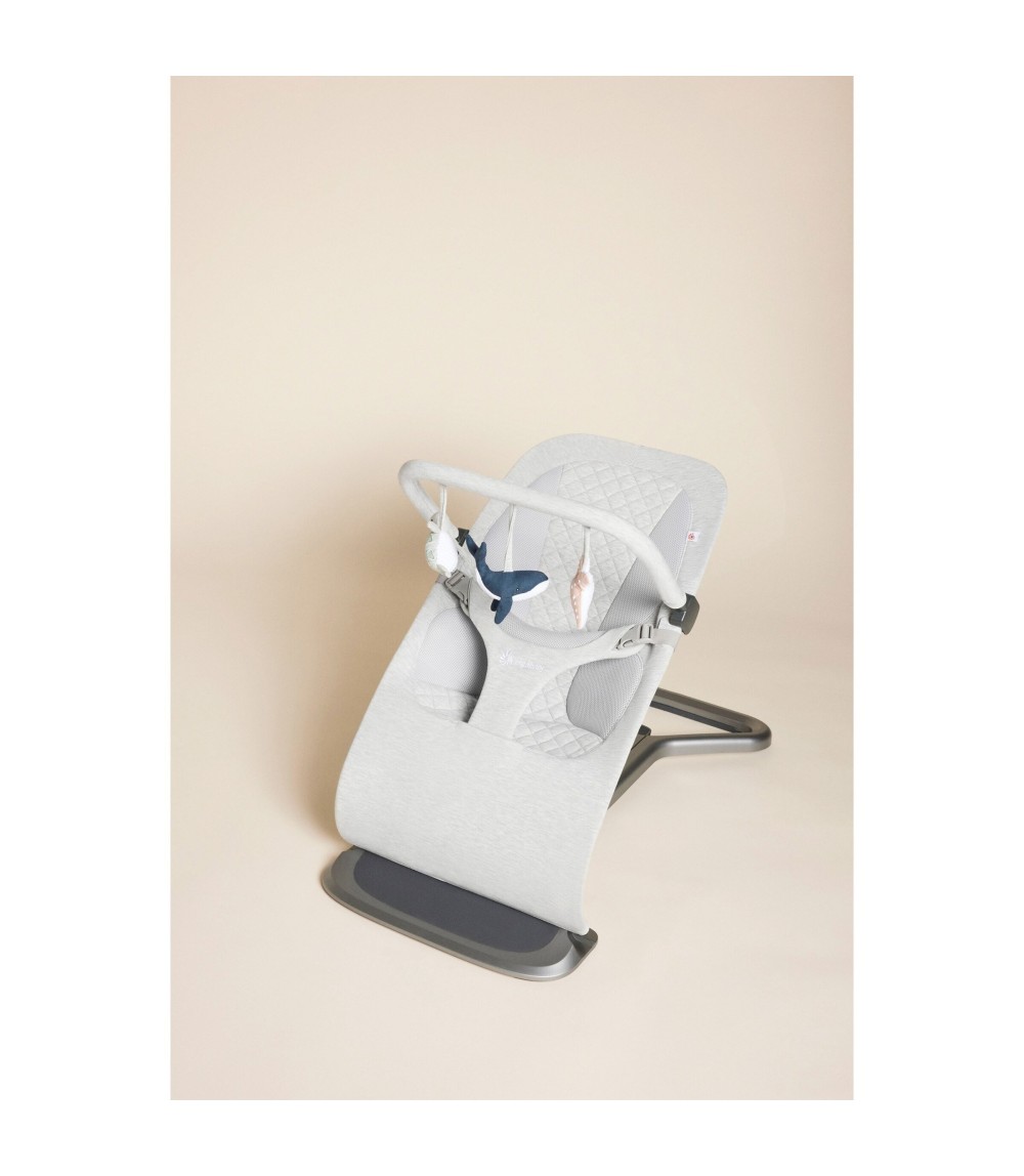 Spielbogen für Babywippe Evolve 3-in-1