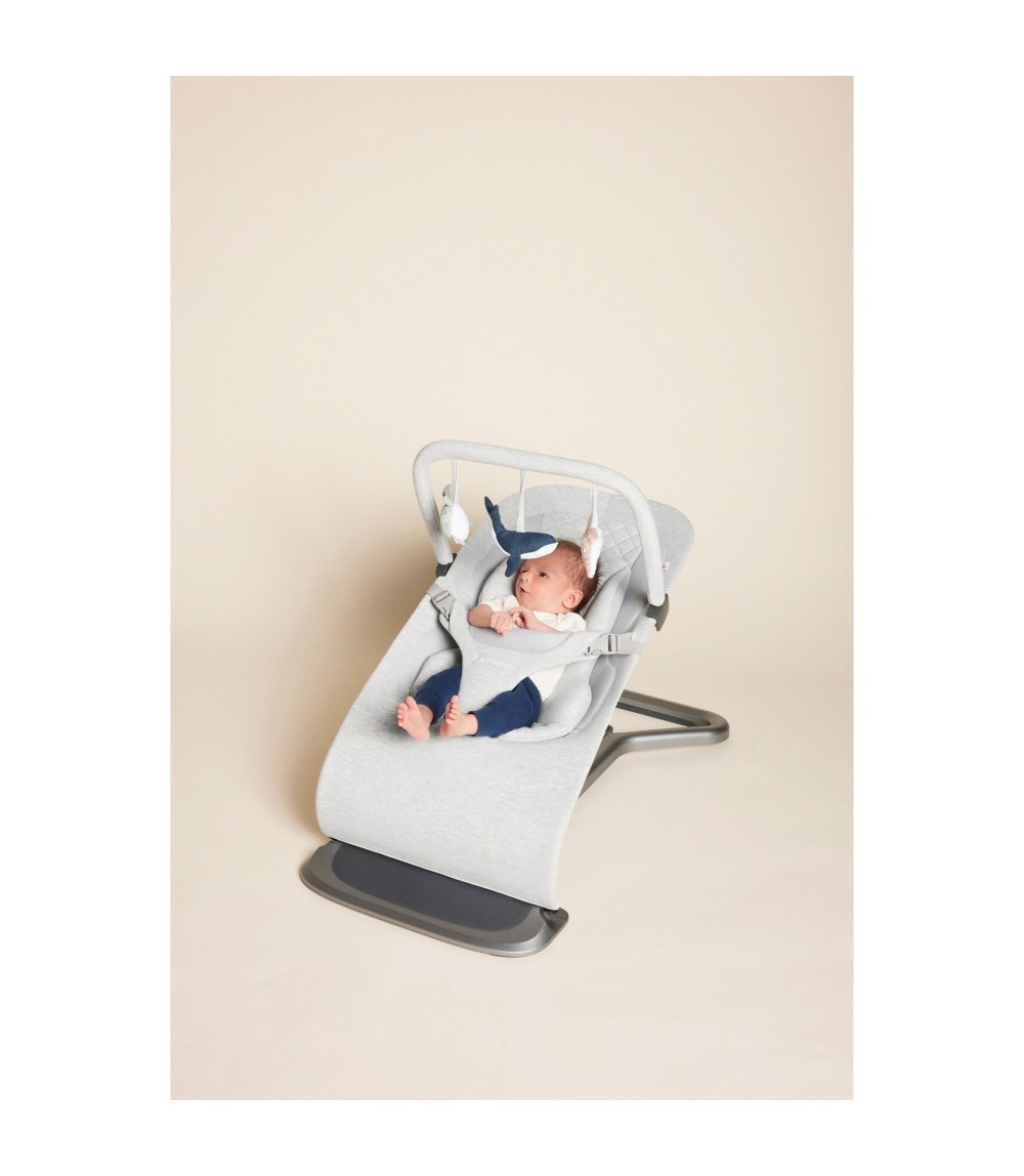 Spielbogen für Babywippe Evolve 3-in-1