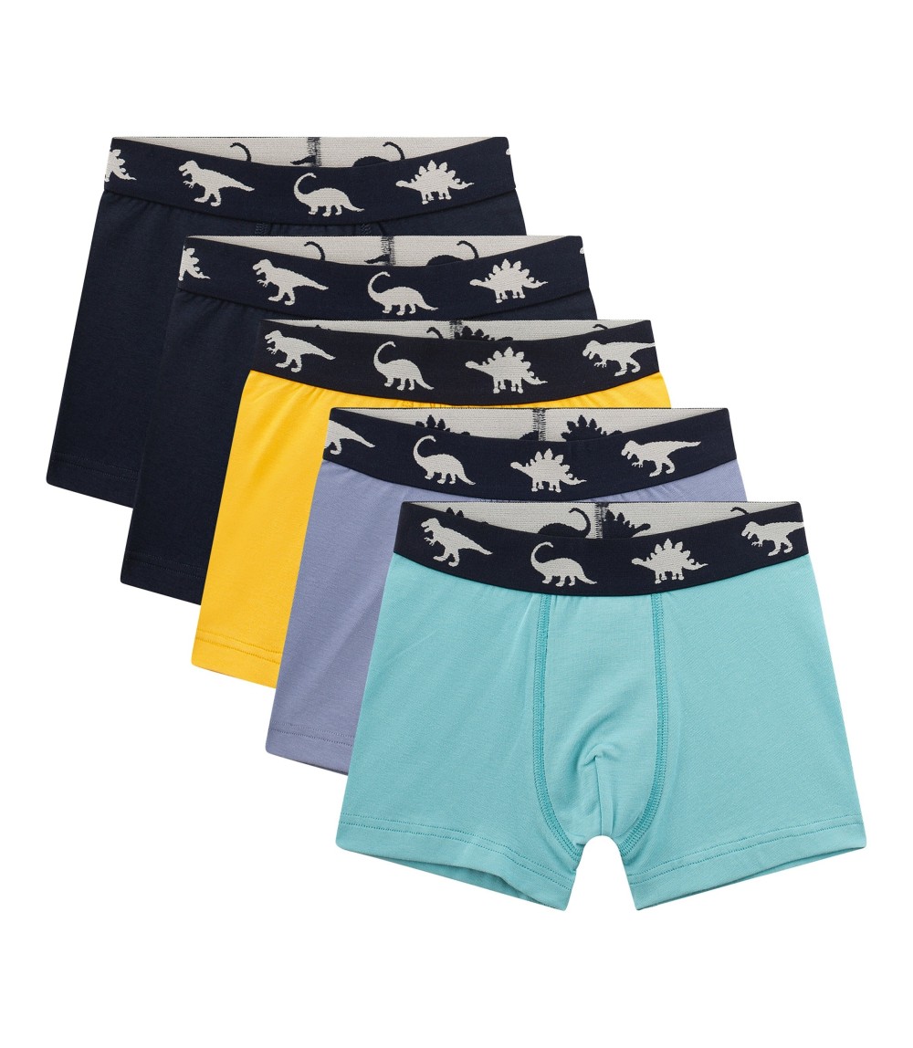 5er-Pack Boxershorts Dinos
