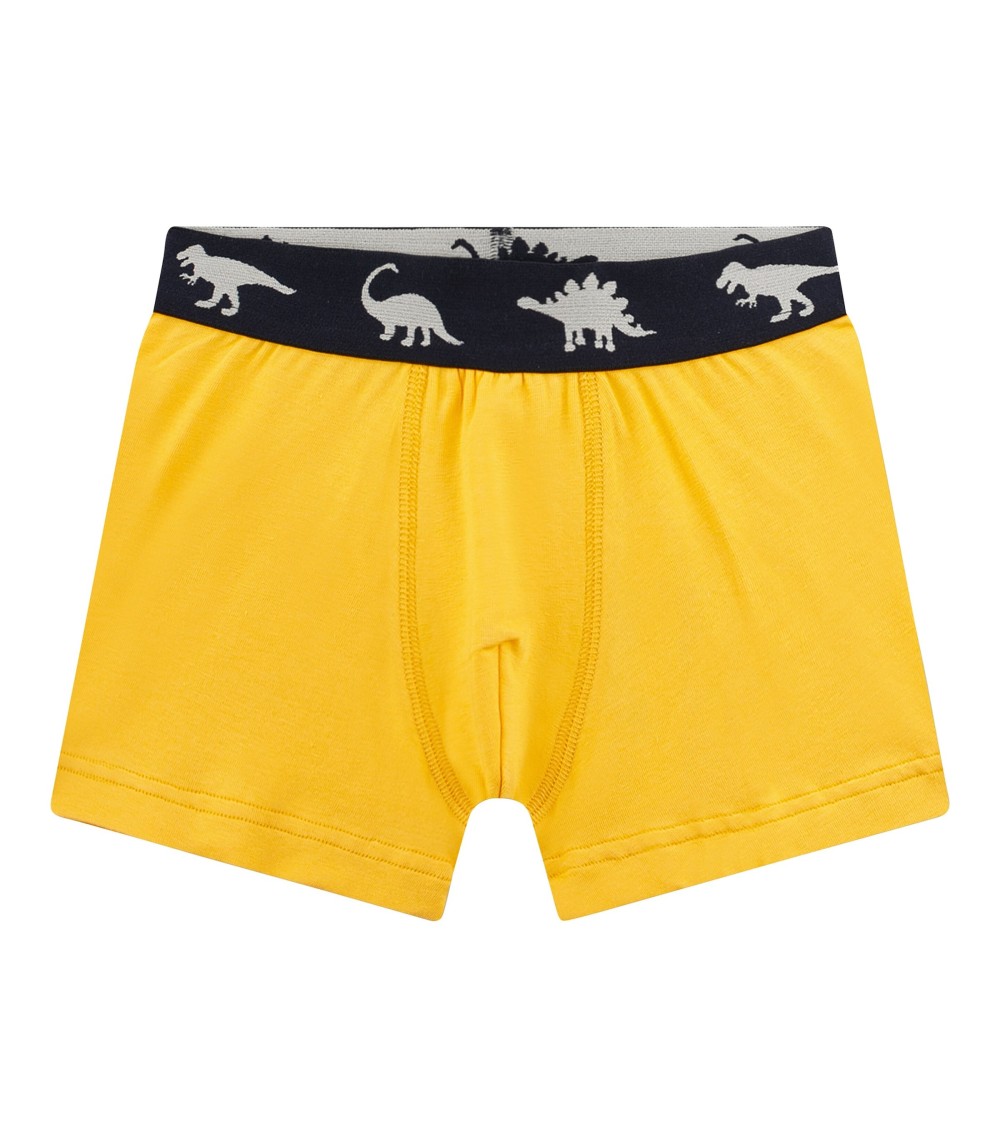 5er-Pack Boxershorts Dinos