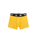 5er-Pack Boxershorts Dinos