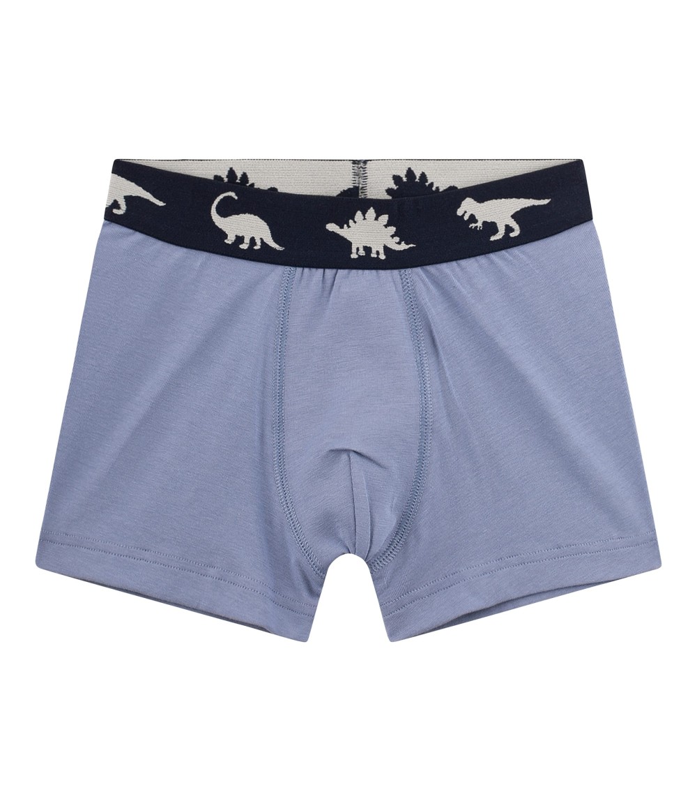 5er-Pack Boxershorts Dinos