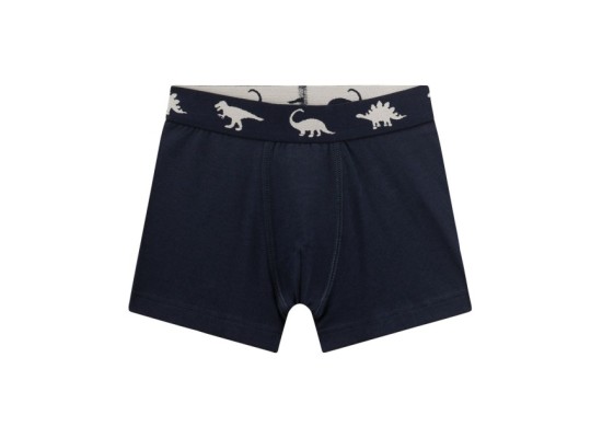 5er-Pack Boxershorts Dinos