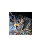 Winterjacke mit abnehmbarer Kapuze Fuchs