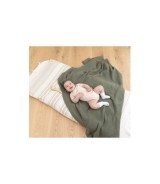 3er-Pack Bodys kurzarm Ringel Haus