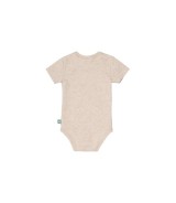 3er-Pack Bodys kurzarm Ringel Haus