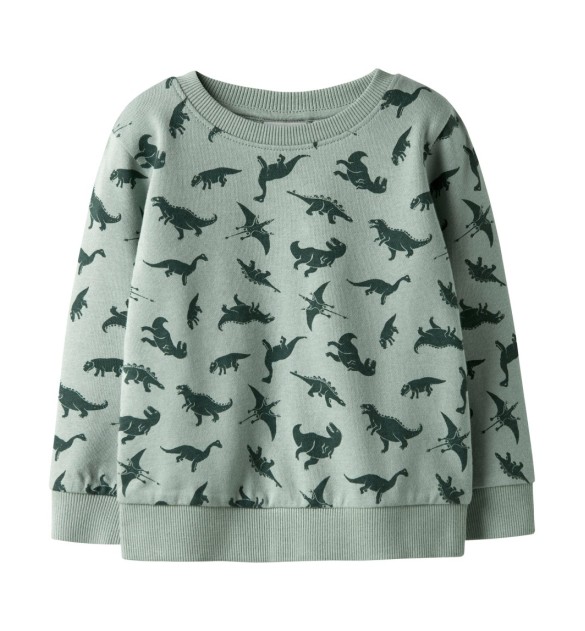 Sweatshirt Dinos
