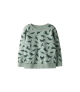 Sweatshirt Dinos