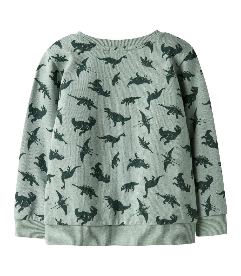 Sweatshirt Dinos