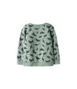 Sweatshirt Dinos