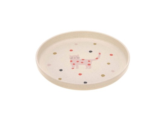 Teller mit Zellulose