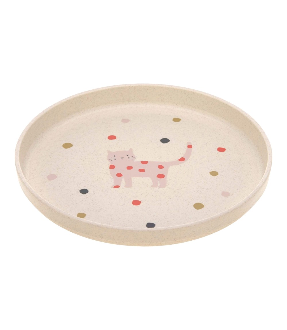 Teller mit Zellulose