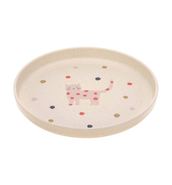 Teller mit Zellulose