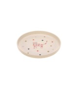 Teller mit Zellulose