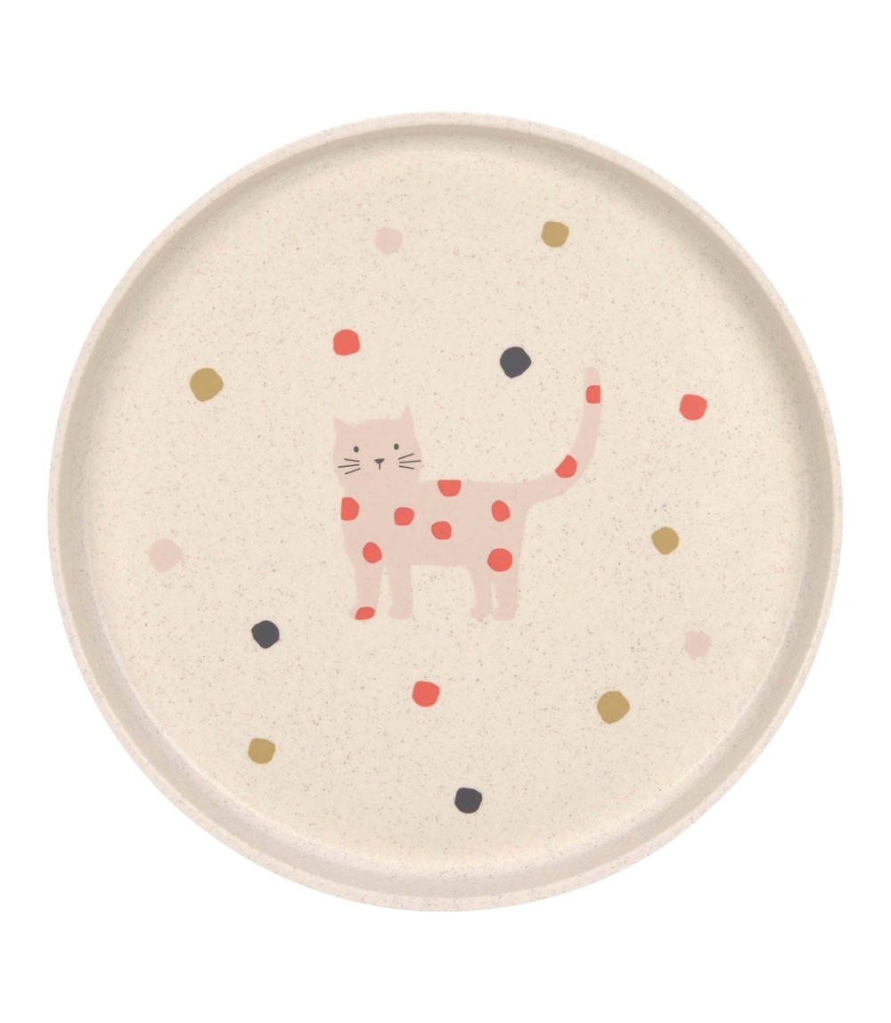 Teller mit Zellulose