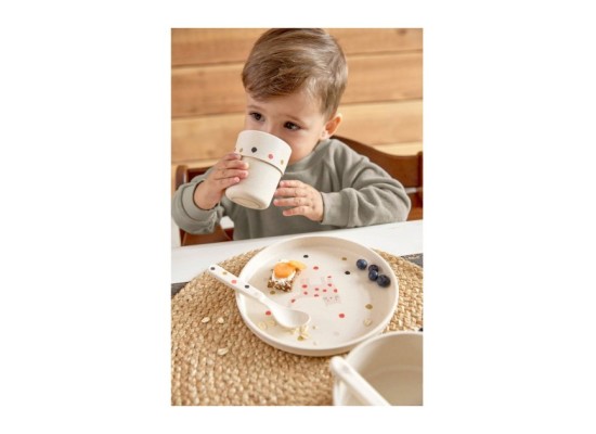 Teller mit Zellulose