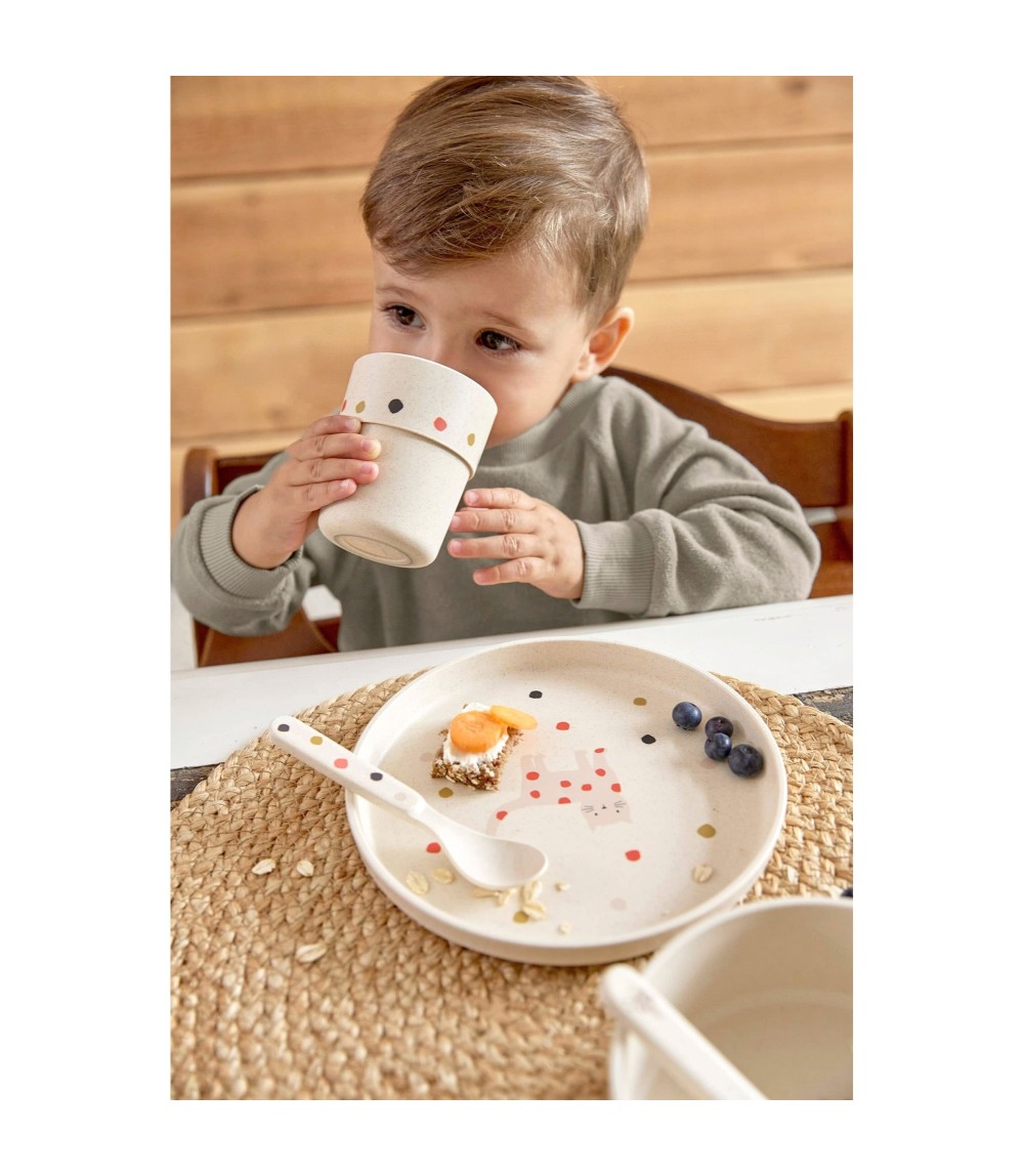 Teller mit Zellulose