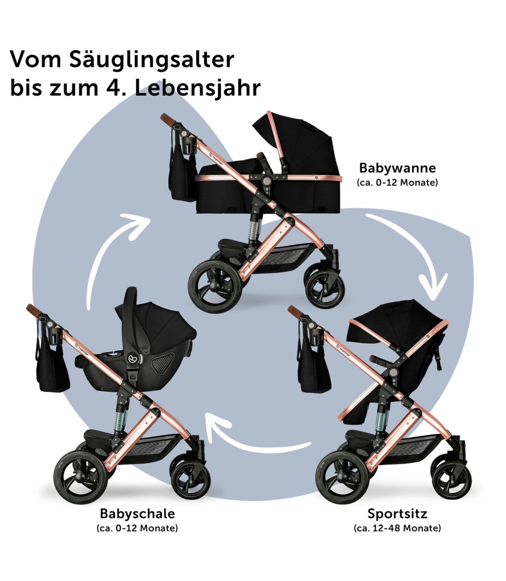 Kinderwagen Nizza + Babyschale + Isofix-Station