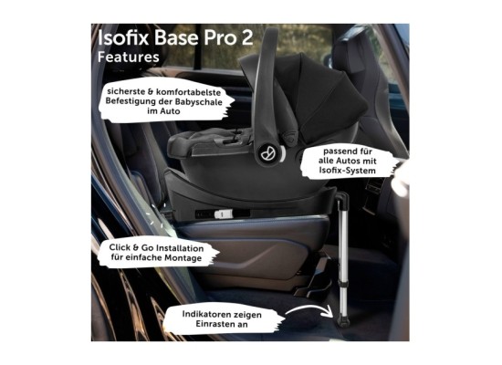 Kinderwagen Nizza + Babyschale + Isofix-Station
