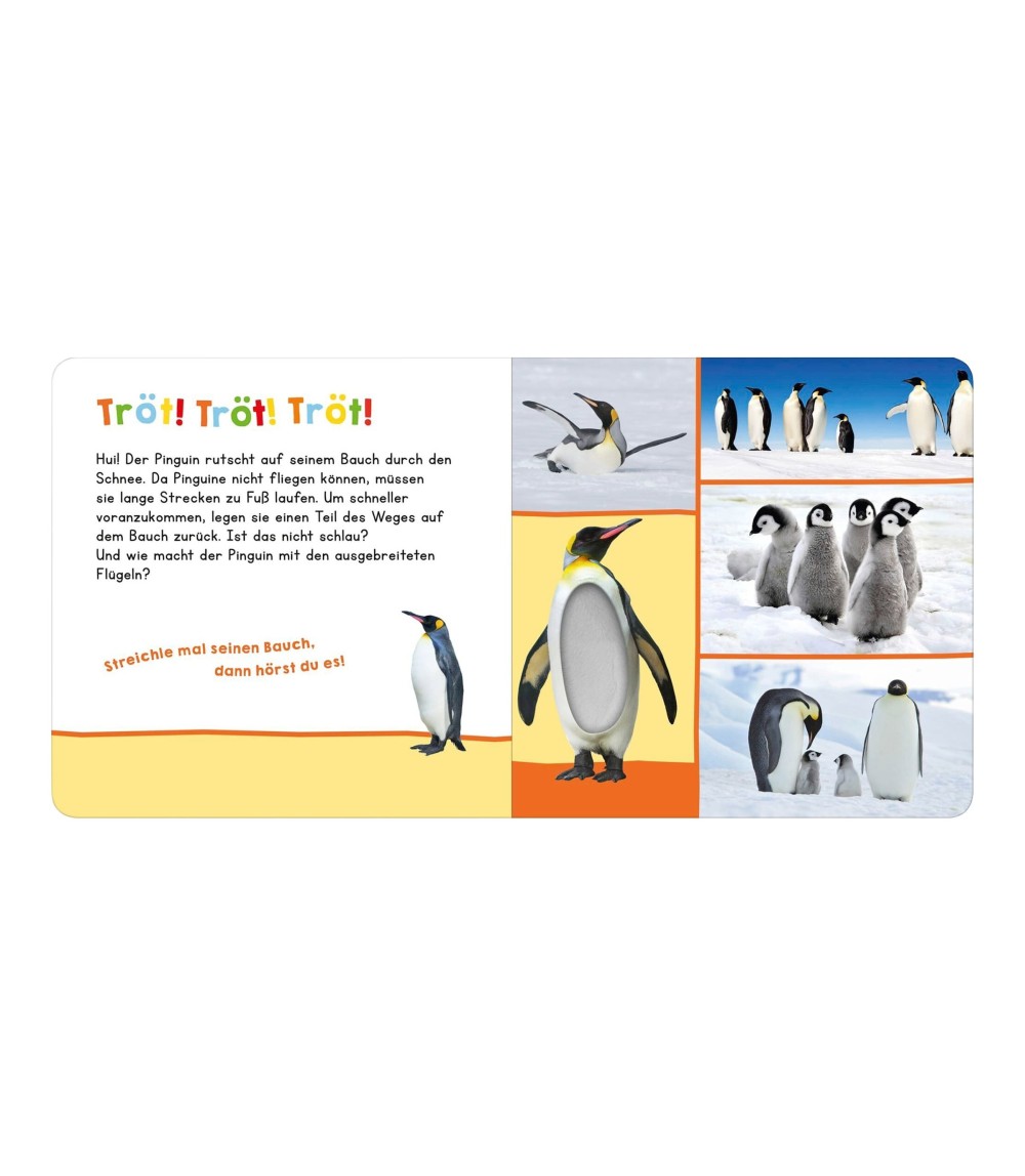  wer kann das sein? Im Winter: Streicheln und hören