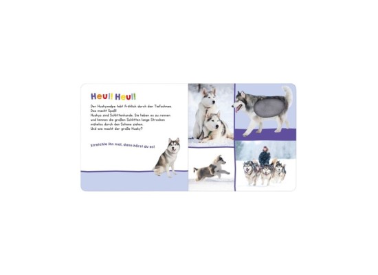 Soundbilderbuch Hör mal rein, wer kann das sein? Im Winter: Streicheln