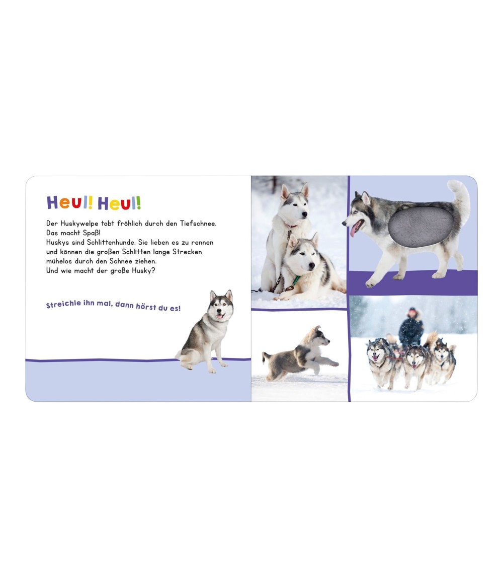 Soundbilderbuch Hör mal rein, wer kann das sein? Im Winter: Streicheln