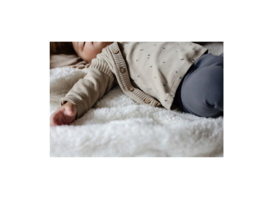 Shirt langarm Vögel Rippqualität