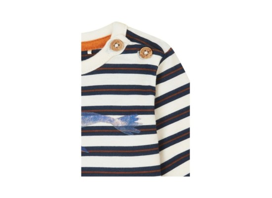 Shirt langarm Ringel Robbe